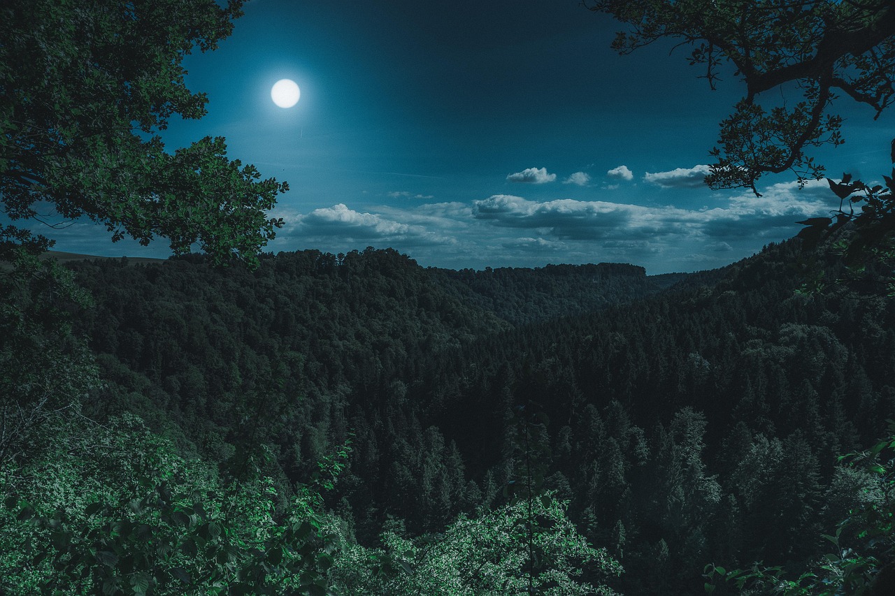 The Art of Listening in the Dark: How to Tune Your Ears for the Night Shift